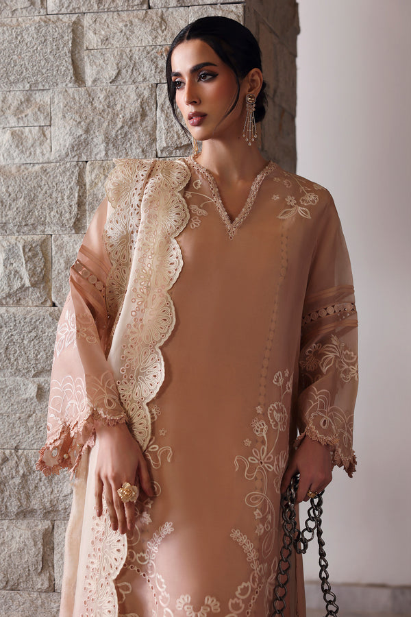 AVAIA (EV-21476) - ELAN