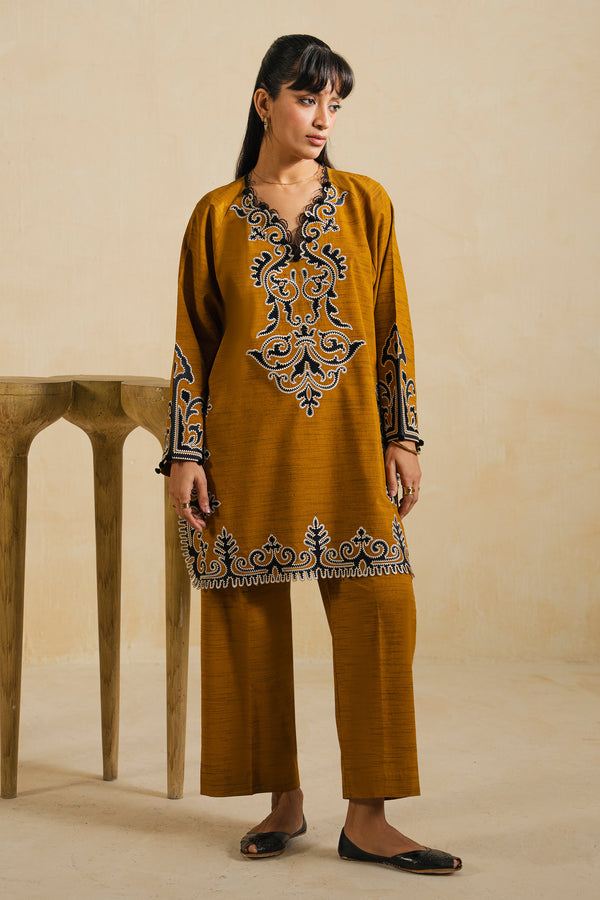 AARIZ (ERW-21580) - ELAN