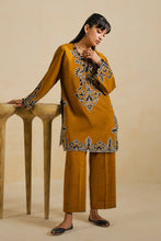 AARIZ (ERW-21580) - ELAN