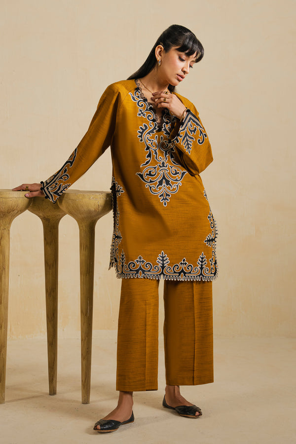 AARIZ (ERW-21580) - ELAN