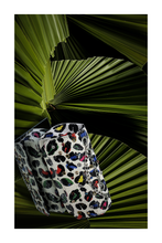 DISCO NIGHT (BG26-8662) - ELAN