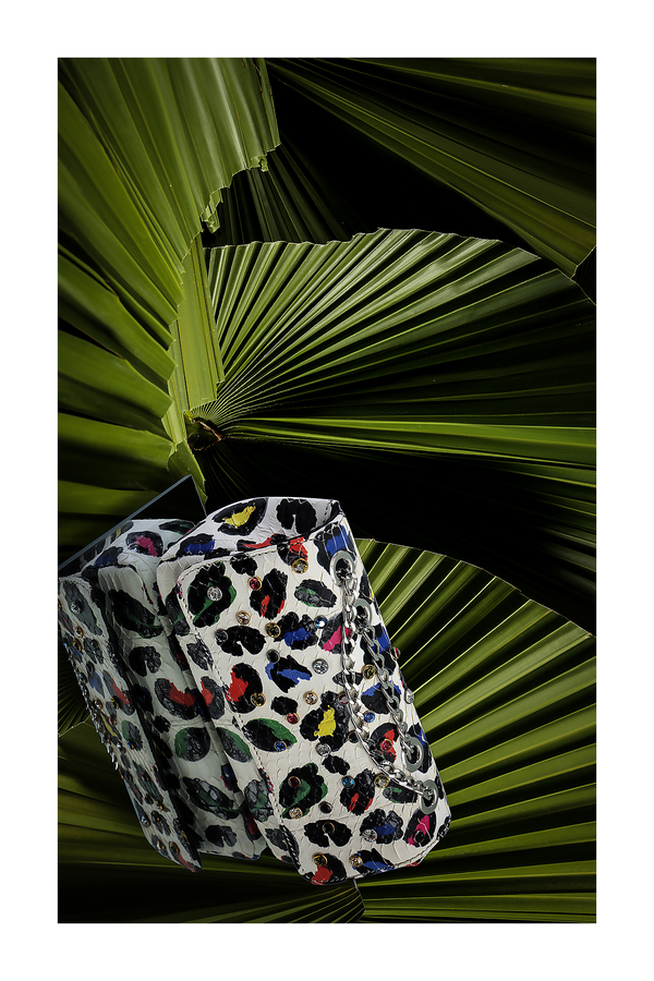 DISCO NIGHT (BG26-8662) - ELAN