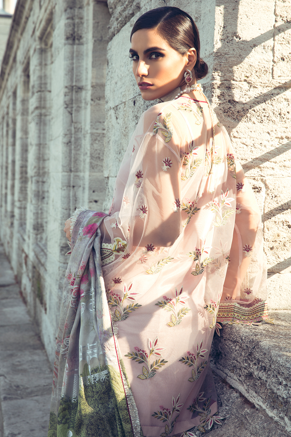 EF-01 (ELIF) - ELAN