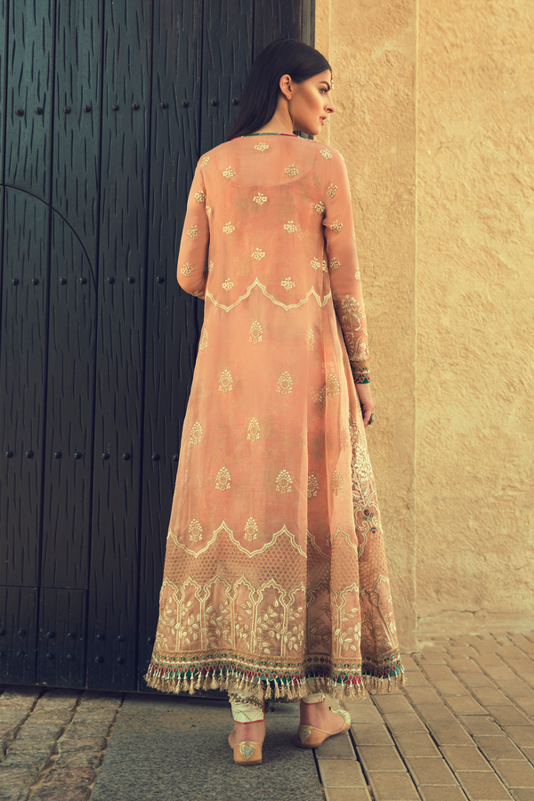 ES-02 - ELAN